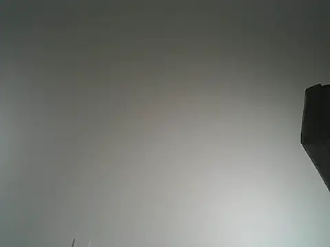 BigTerry0 live XXX chat