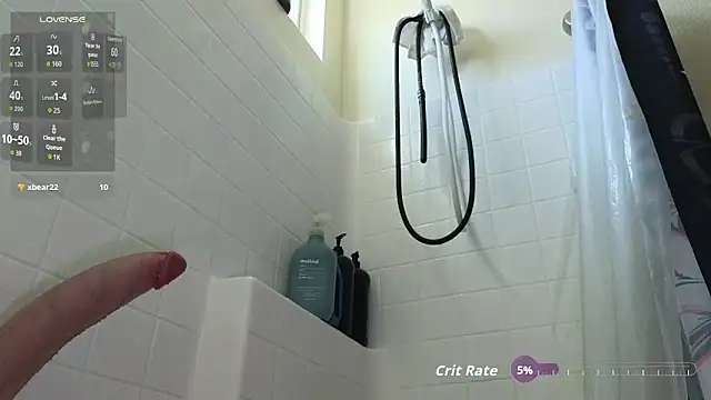 AHoleViben Webbikameraesitys