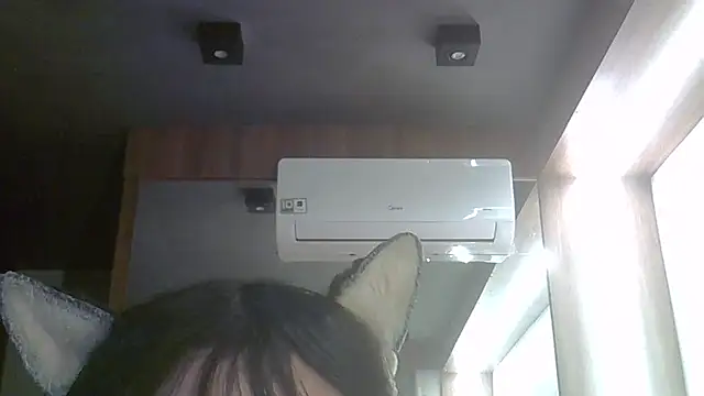 Show de webcam de SkinnyKitten