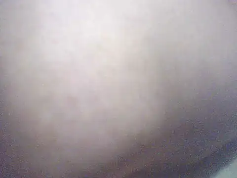 pietje1991 Webcamshow