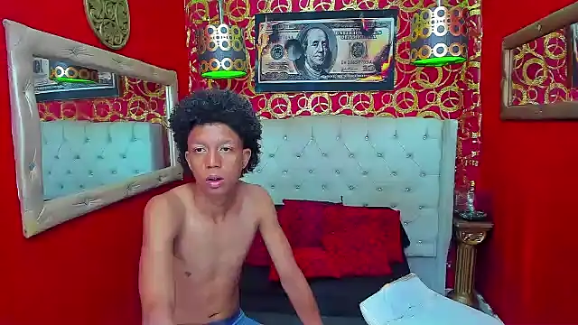 PEINBOYSn Webbikameraesitys