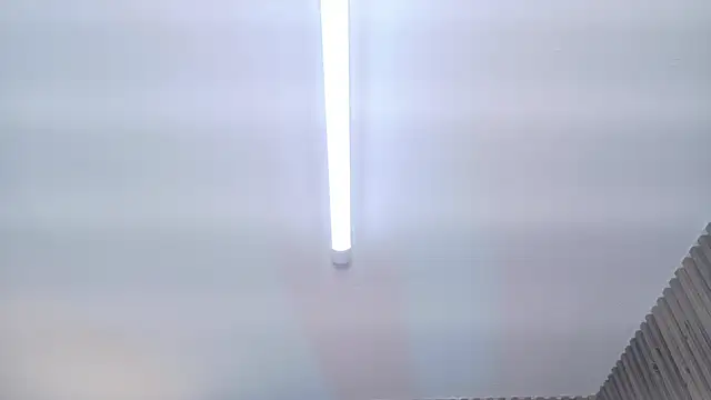 _MileyRoss: онлайн-секс-чат