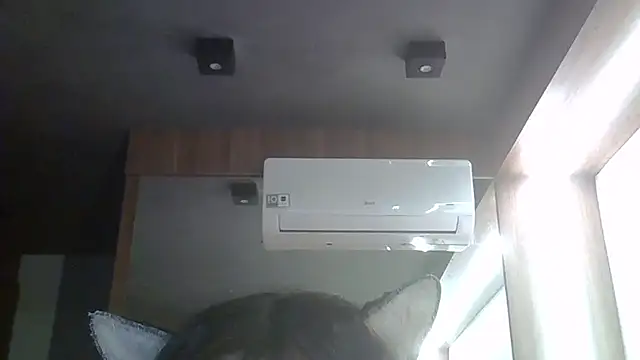 Chat XXX ao vivo de SkinnyKitten