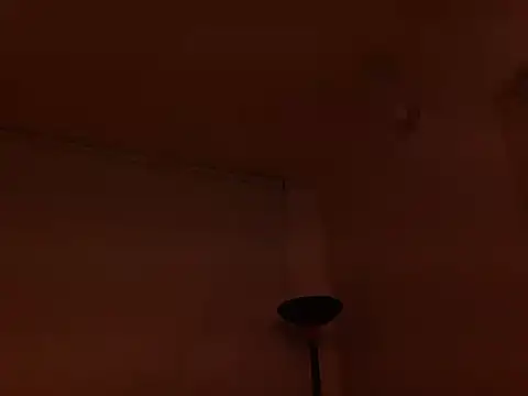 Violet_DonellのライブXXXチャット