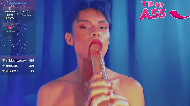 Webkamerová show femboykeene