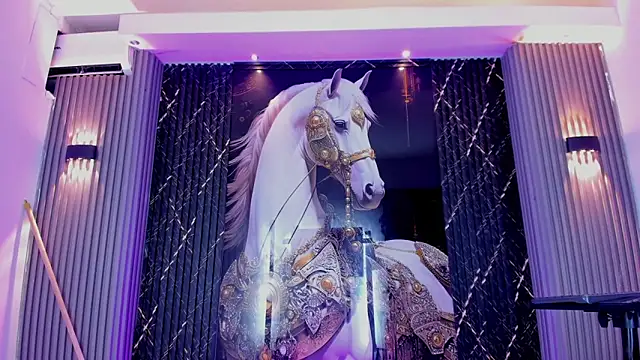 the_knights_of_the_night_ webkamerás műsora