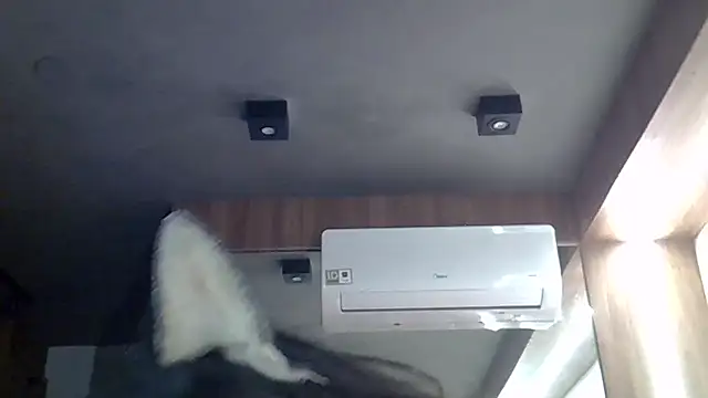 SkinnyKittenのウェブカメラショー