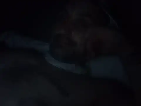 Viciouzz1 webcam show
