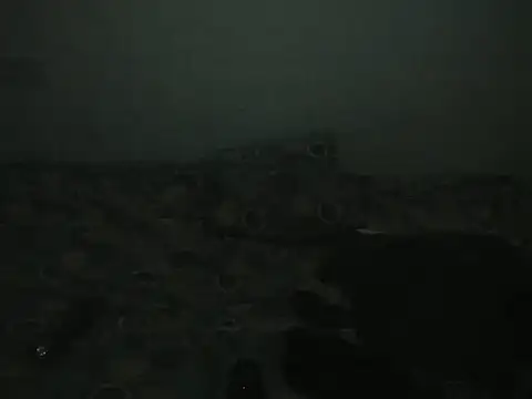 Chat XXX ao vivo de Sexycarinah_