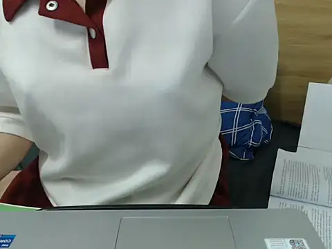 Chat +18 de Lingzhu2024 ao vivo