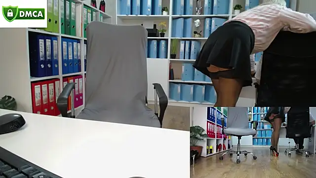 Show modela secret-office na web-kameri