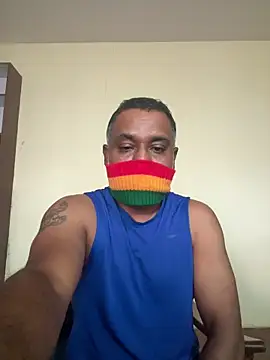 Pokazy przed kamerką – syntaxbear