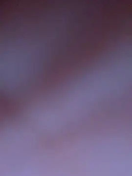 xDavina's Live XXX Chat