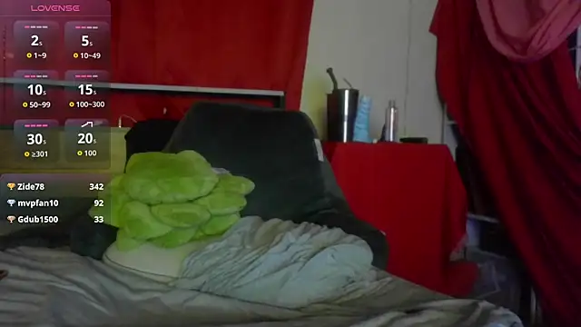 Show Webcam de squishkink