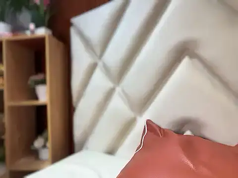 Webkamerová show paulovesu