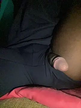 Pinktopdickk Webcam Show