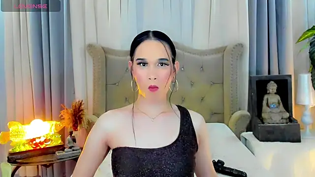 عرض كام LexiLoreOnTop