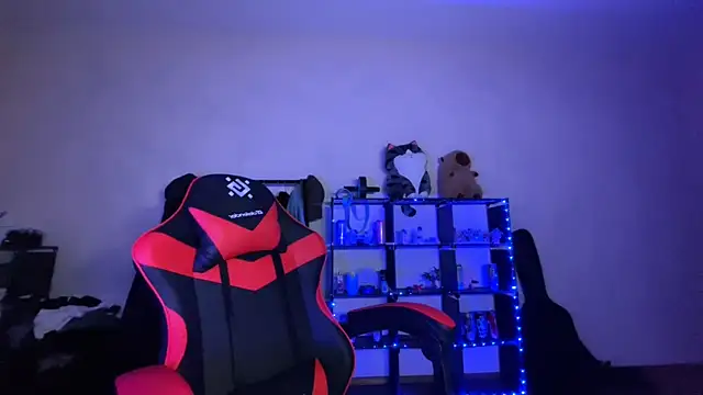 _ELIGOS_n Webbikameraesitys