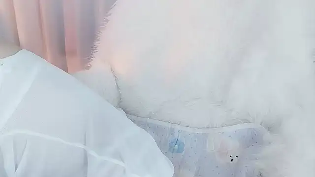 -zhuzhu-999- 在線直播表演
