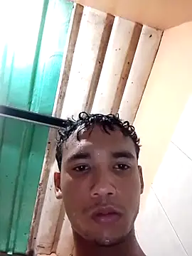 Awilsan Webbikameraesitys