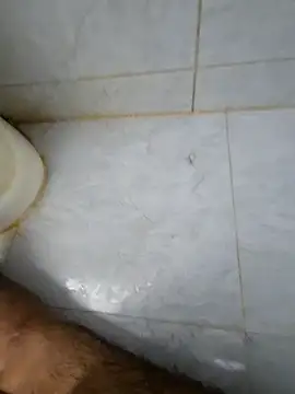 Assloverboy_2's Webcam Show