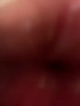 JolieBee Live XXX-chat