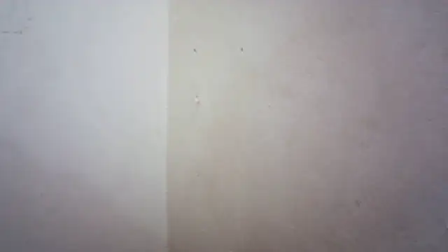 Chat XXX Live emmyteaz1