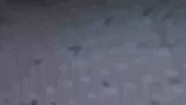 Živý XXX chat SEXY-ZENA