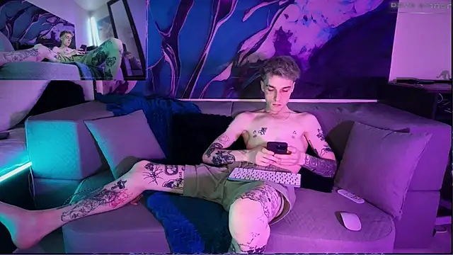 davesinnern Webbikameraesitys