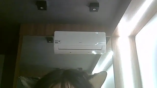 Show de webcam de SkinnyKitten