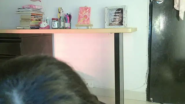 Chatroom XXX en direct de eva_sin18