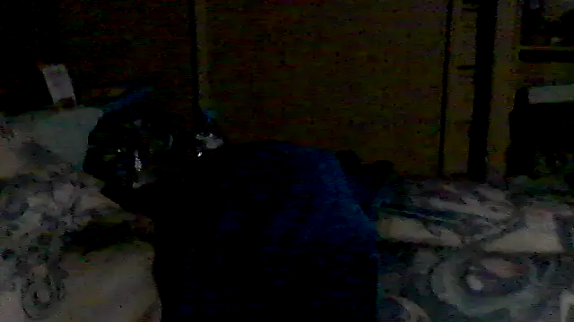 Show Webcam de MrFumao