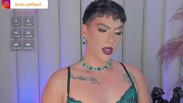 הופעת וובקאם של sam_phillipss
