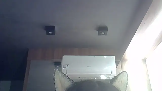 Show de webcam de SkinnyKitten