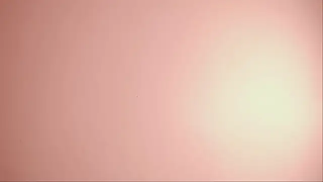 XXX chat uživo modela Sunny_flower_