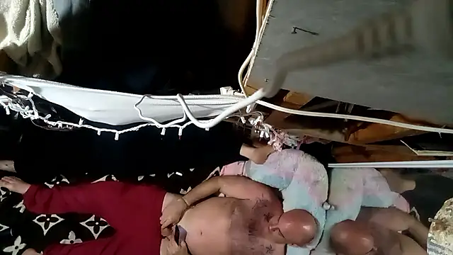 Bulbasaurisme webkamerás műsora