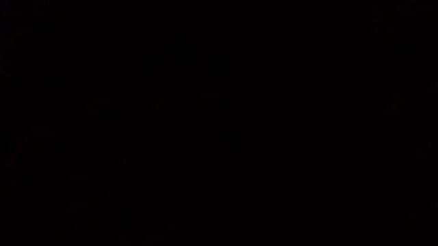 Bulbasaurisme's Webcam Show