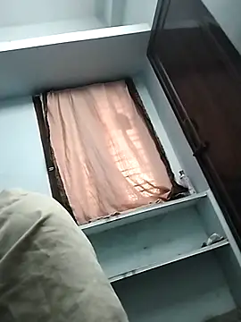 LEOMEGHA2026 Pertunjukan Webcam