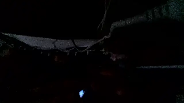 Živý XXX chat Bulbasaurisme