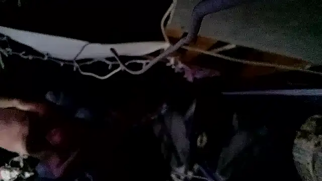 Bulbasaurisme – Naživo XXX chat