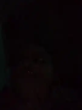 Sembang XXX Secara Langsung ayla-0