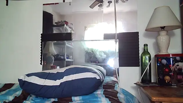 Chat XXX en directo de AcademicHuman67