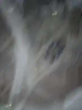 PUNAM456 现场XXX聊天