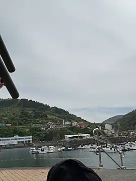 99_GANArn Webbikameraesitys