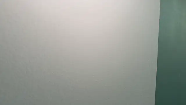 MonaBlisss 现场XXX聊天