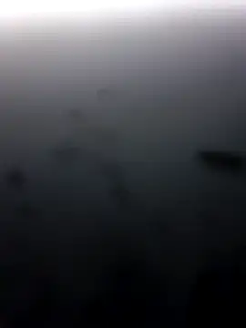 M8ygcthf: вебкам-шоу