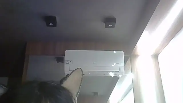 Show de webcam de SkinnyKitten