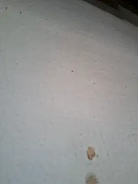 Chat XXX ao vivo de japonesdobrasil