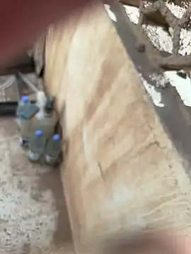 Plxyboi69 Adlı Modelin Canlı XXX Sohbeti