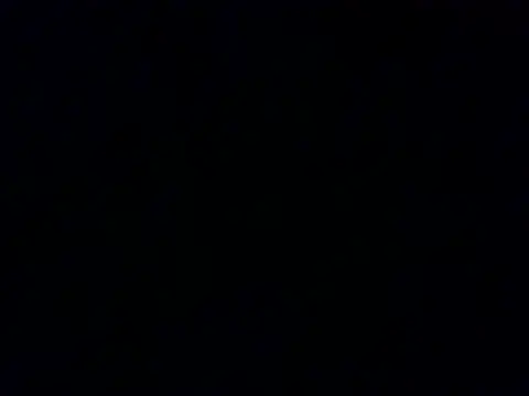PeterPanisrael Show Webcam